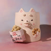 Planter - Bubble Egg Waffle (Shiba)