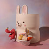 Pot- Beach Time! (Bun Bun)