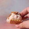 Ornament  - S'more Kitty A